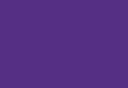 Vidrio 15 COLOURS - Image 6